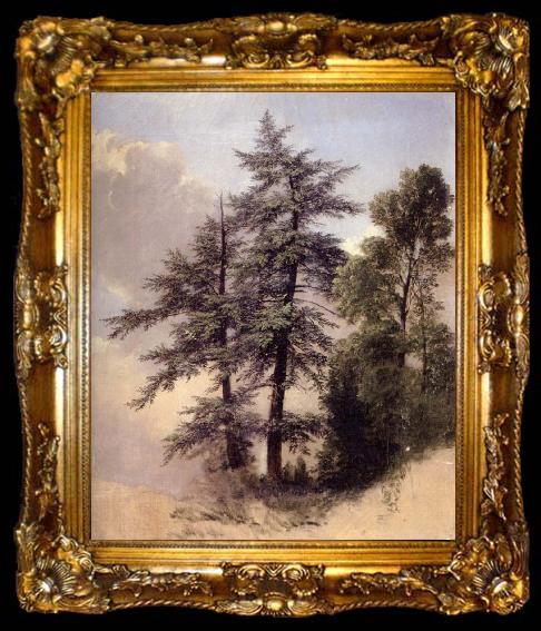 framed  Asher Brown Durand Study from Nature Trees,Newburgh,, ta009-2